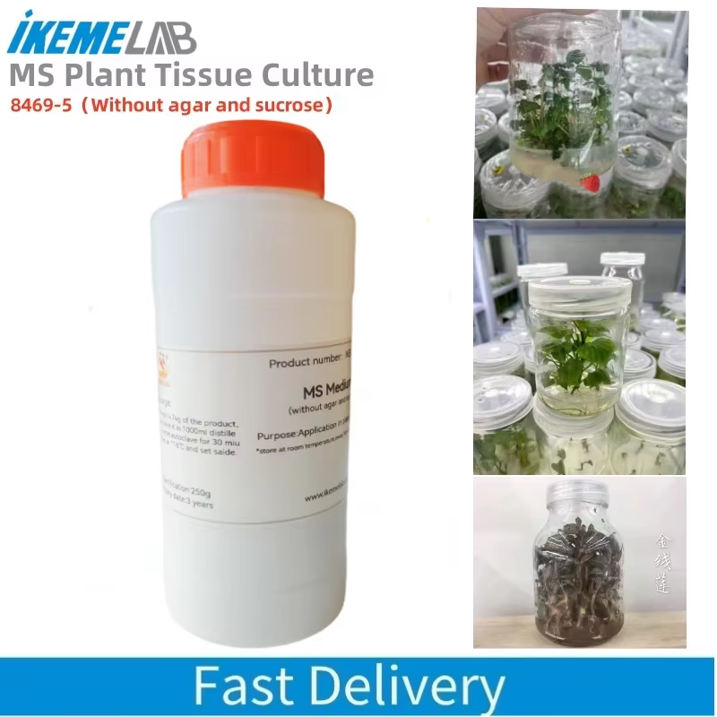 IKEME 250g Lab MS Medium ไม่มี - Agar Tissue Culture บทวิจารณ์และราคา