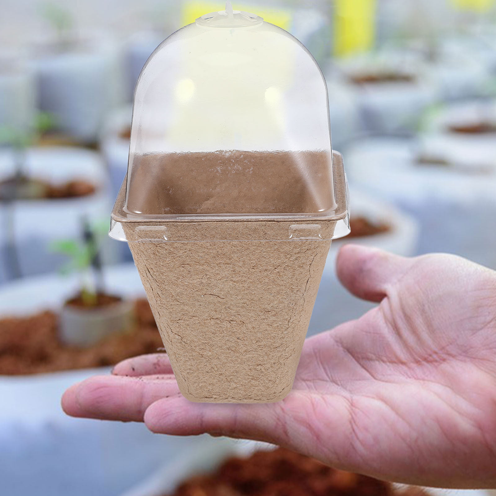 ชุดกระถางเพาะกล้าแบบย่อยสลายได - Humidity Dome Kit บทวิจารณ์และราคา