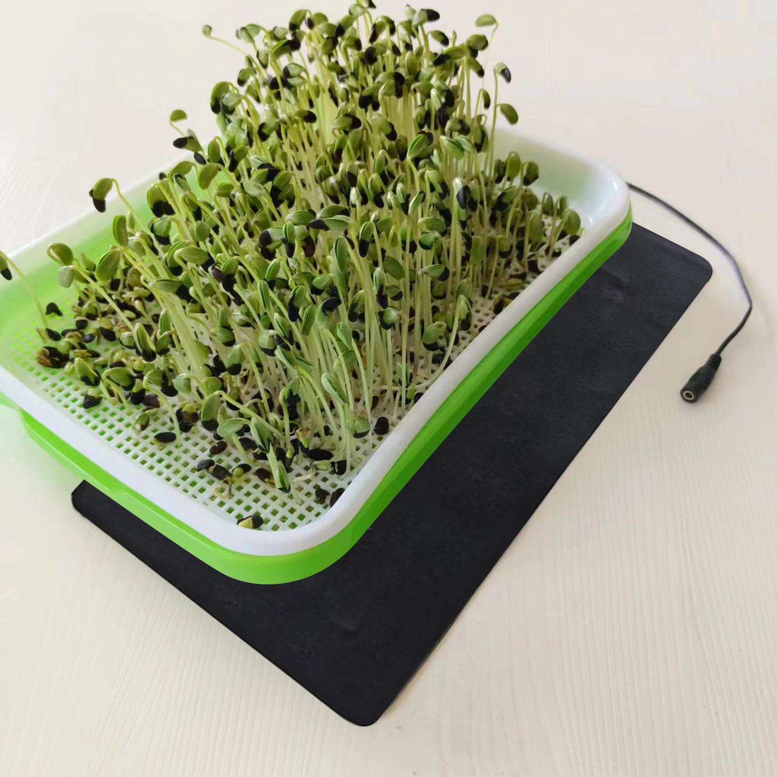 แผ่นทำความร้อนสำหรับต้นกล้า 8. - Heat Mat Seedling บทวิจารณ์และราคา